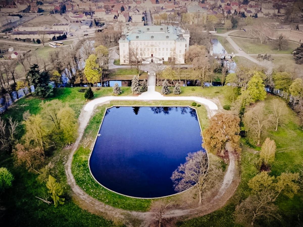 Hotel Zamek Krolewski W Rydzynie Rydzyna Exteriér fotografie