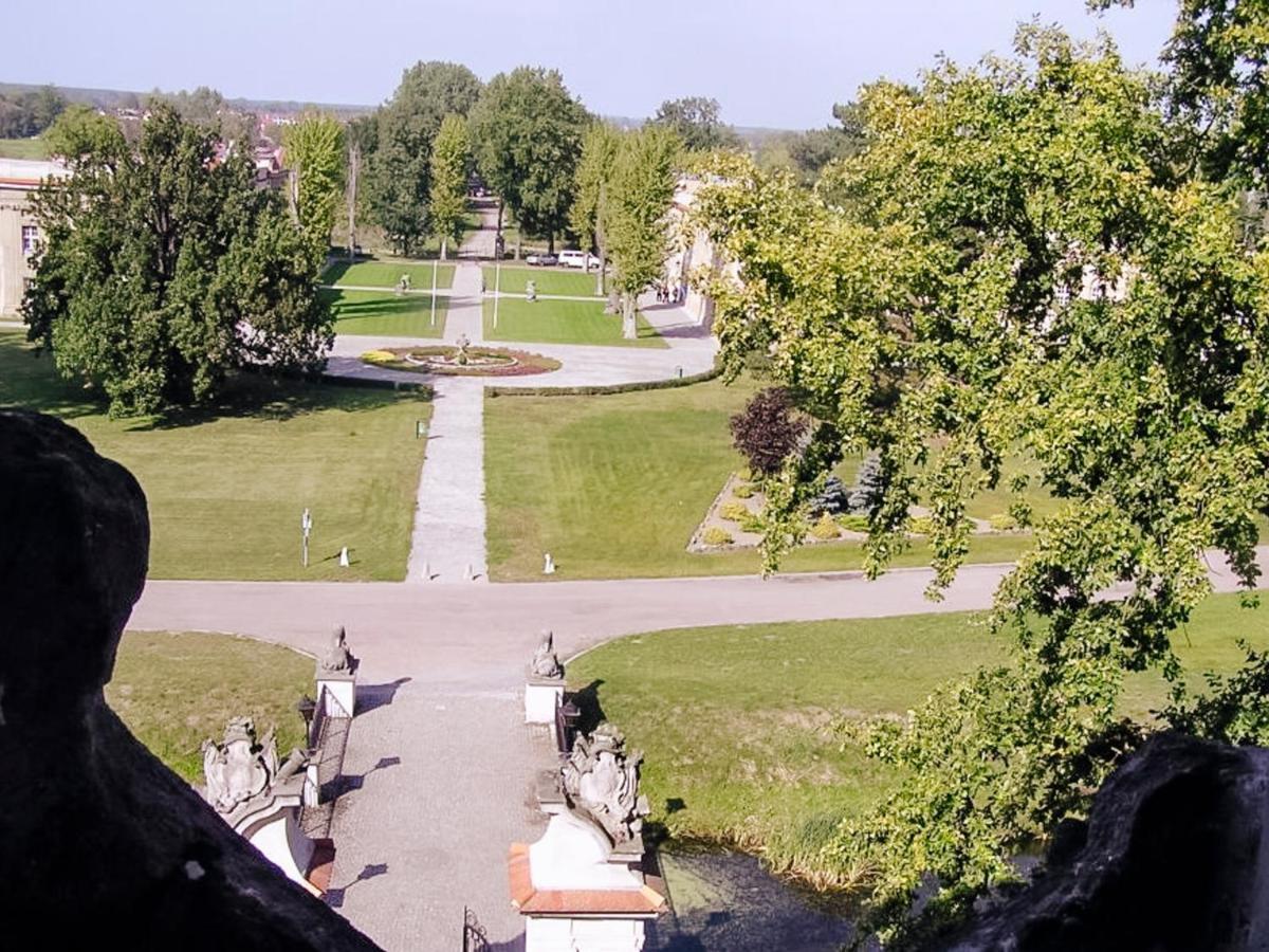 Hotel Zamek Krolewski W Rydzynie Rydzyna Exteriér fotografie