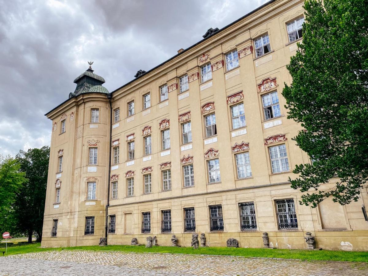 Hotel Zamek Krolewski W Rydzynie Rydzyna Exteriér fotografie